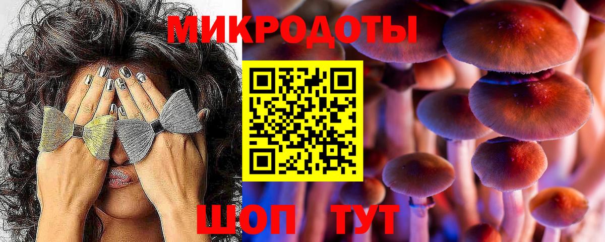 закладка  Курган  Галлюциногенные грибы прущие грибы 