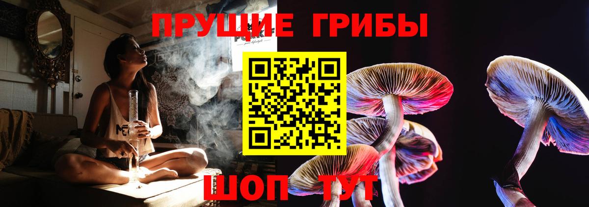 Курган  Псилоцибиновые грибы Magic Shrooms  Вход с VPN 